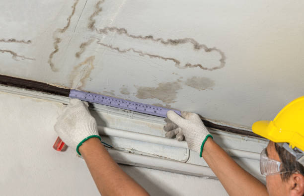 Reliable Burst Pipe Cleanup contractor in Bellevue, WI by Water Damage Irwin